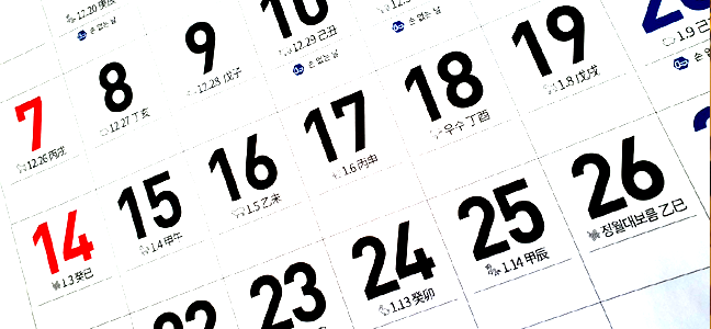 ����Ǯ�� ���� 